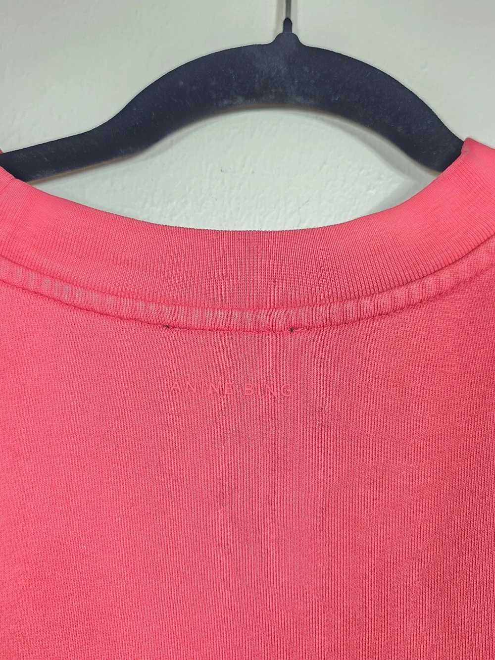 Anine Bing color faded